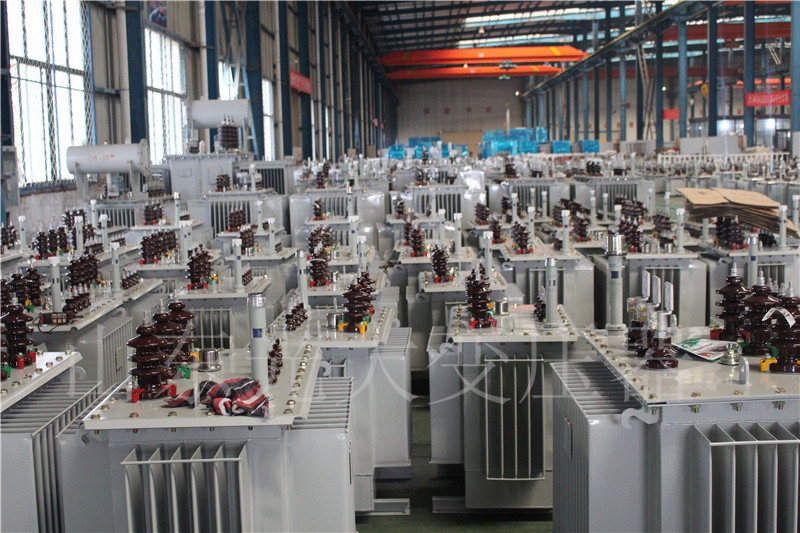 万州S22-800KVA/10KV
