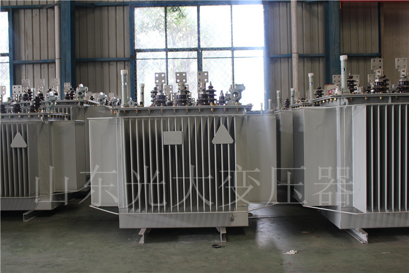 万州S20-500KVA/10KV